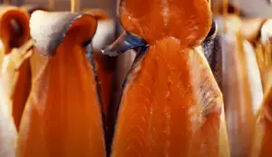 Salmon Fish