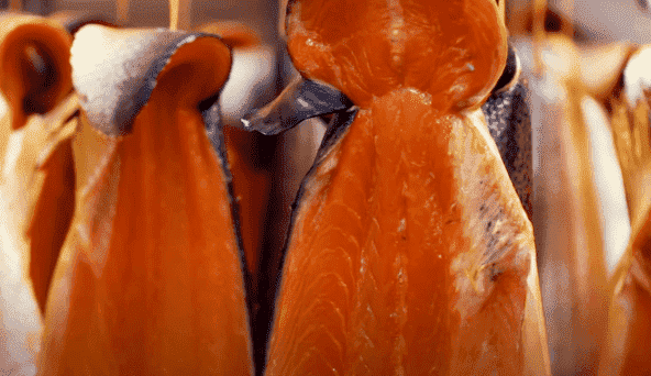 Best Salmon for Smoking_Featured Image
