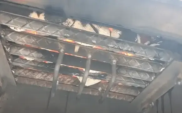 Burning Charcoals on the Grate.