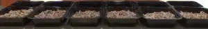 Pellets for Smoking Testing..