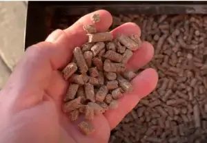 Bear Mountain vs Lumberjack Pellets.