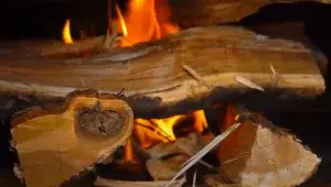 Best wood for smoking.
