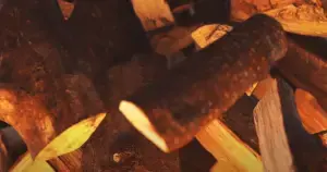 Wood for Smoking Ribs.